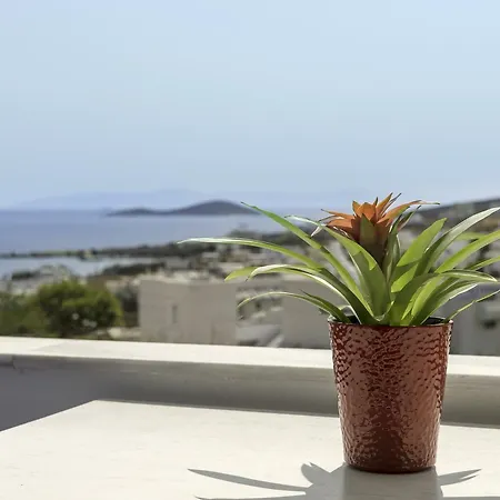 Apartment Anatoli Azolimnos